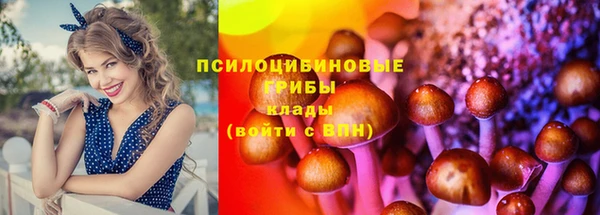 винт Володарск